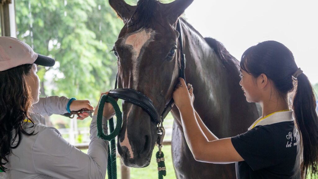 A woman standing next to a brown horse