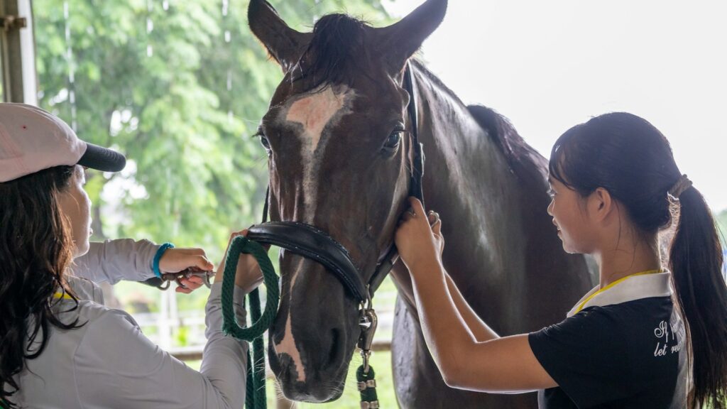 A woman standing next to a brown horse