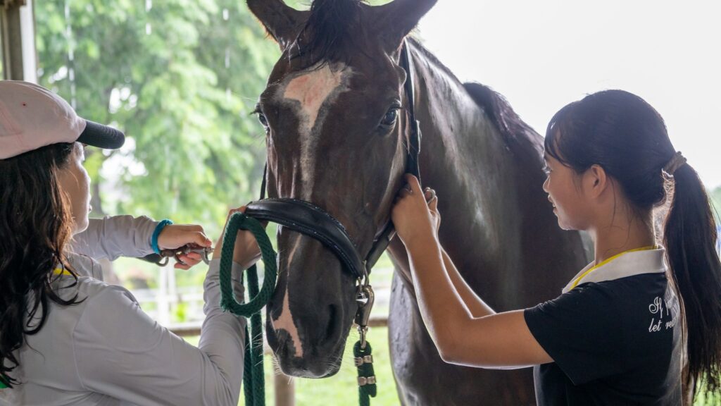 A woman standing next to a brown horse