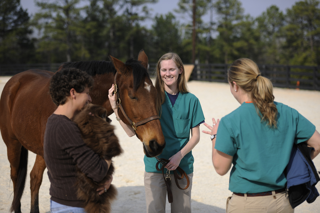 Equine Veterinarian with horse and rider