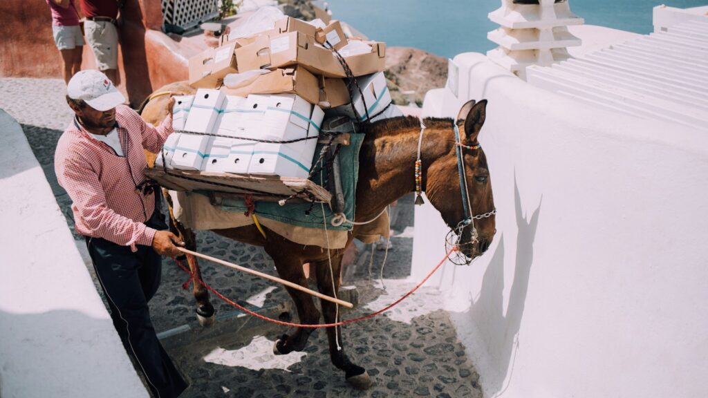 man holding horse chain