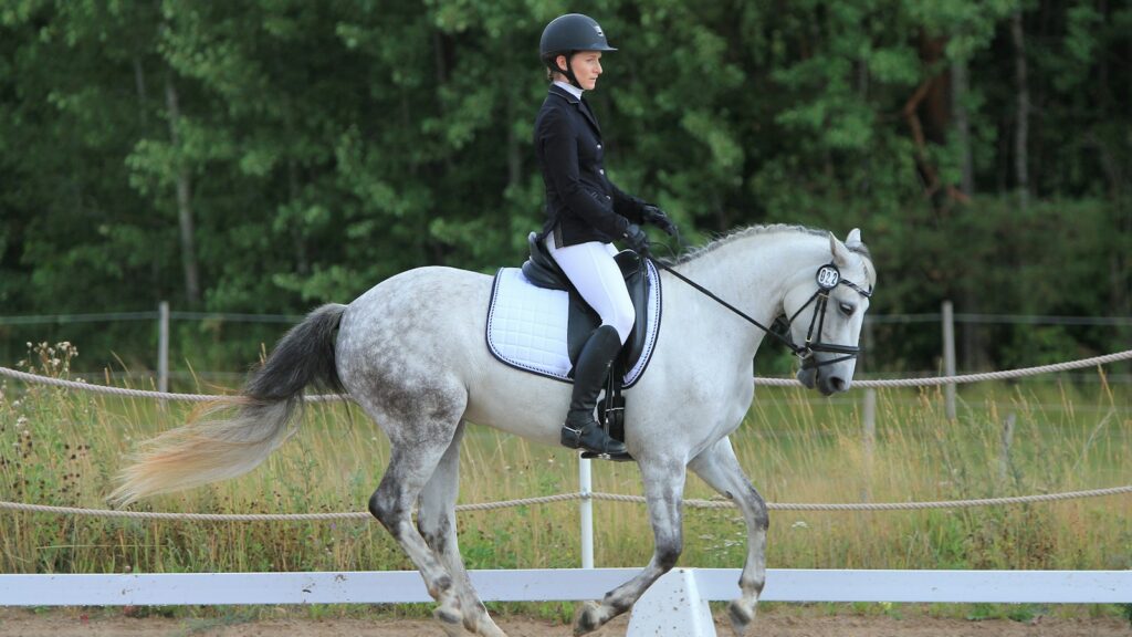 unknown person riding on white horse