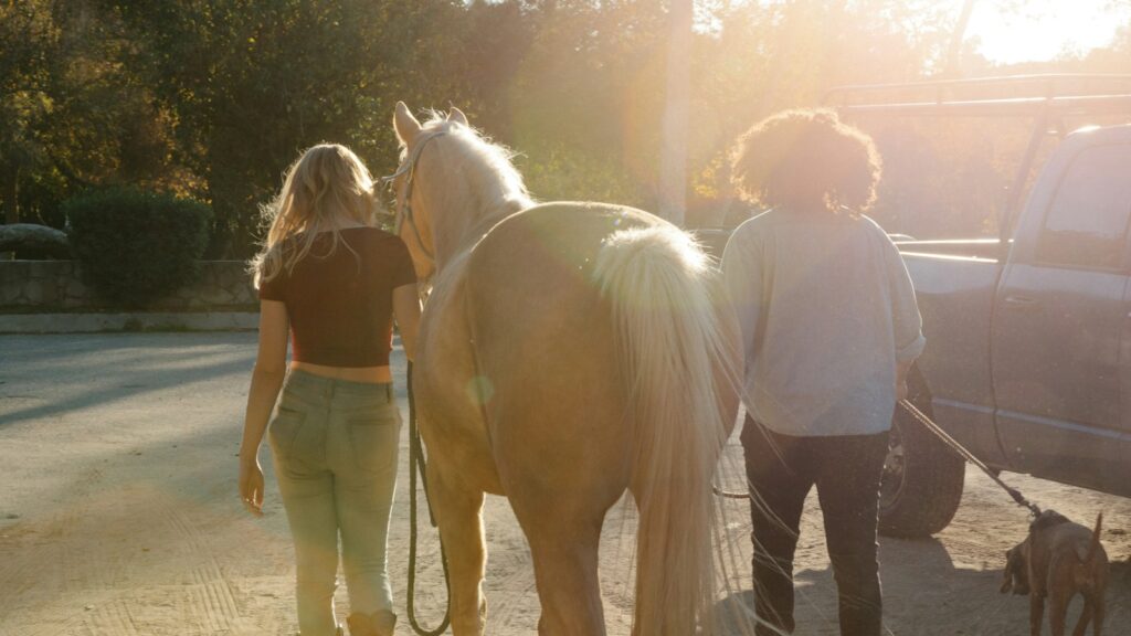 people walking on road during daytime