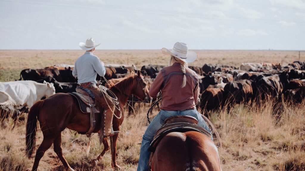 a couple of people riding on the backs of horses