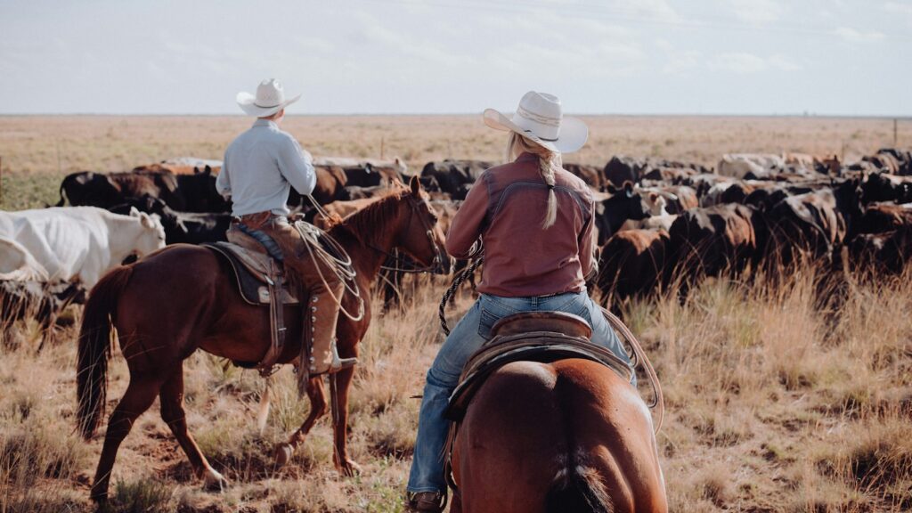 a couple of people riding on the backs of horses