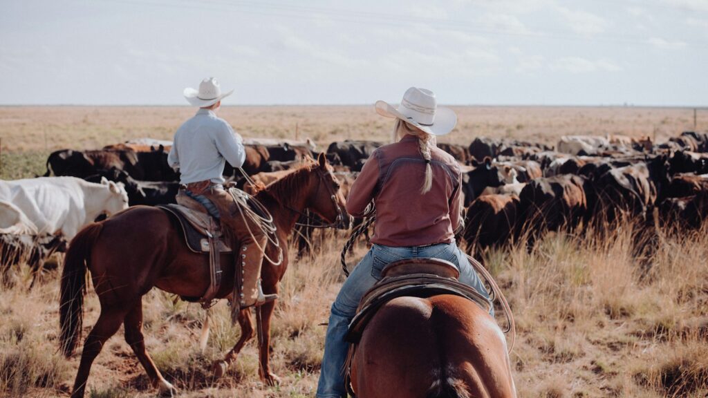 a couple of people riding on the backs of horses