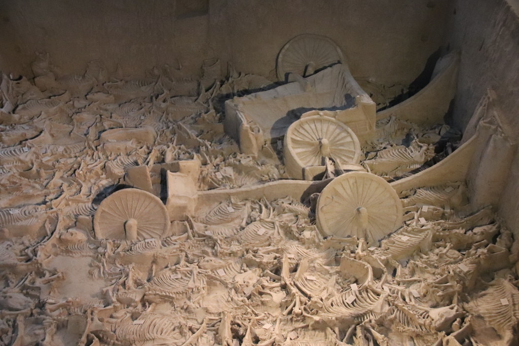 Chariot and Horse Burial