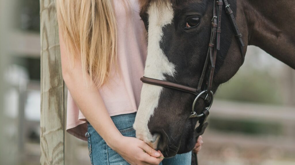woman standing beside black and white horse at daytime