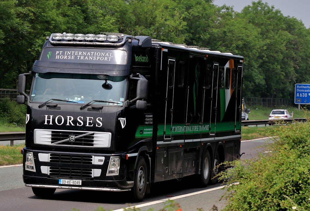 Horse transport