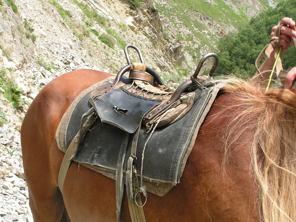 Old Horse Saddle