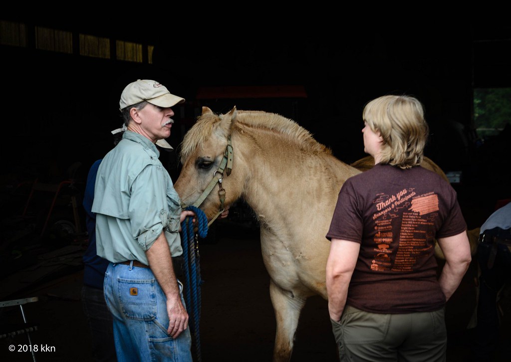 Horse talk