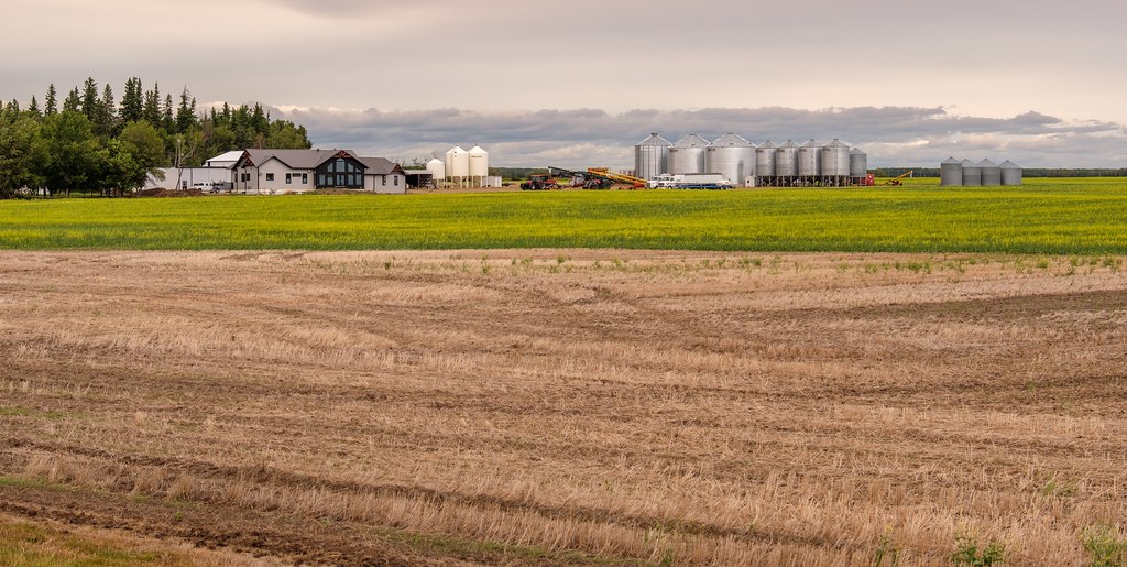 The Modern Farm