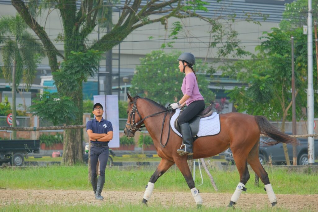 Woman in blue jacket and blue denim jeans riding brown horse during daytime