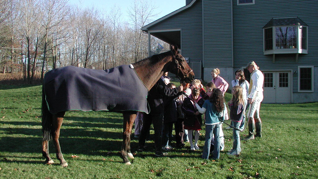 horse standing in Birthday Party