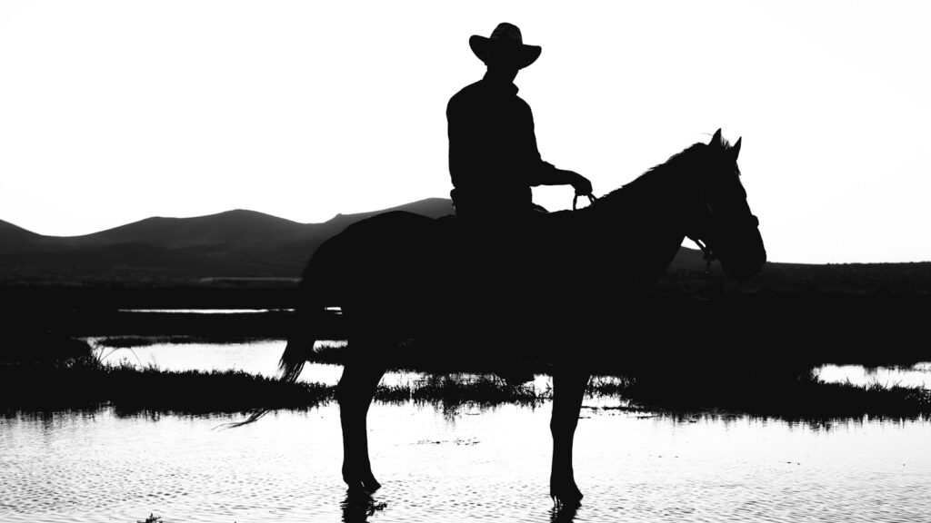 A man riding a horse near a body of water