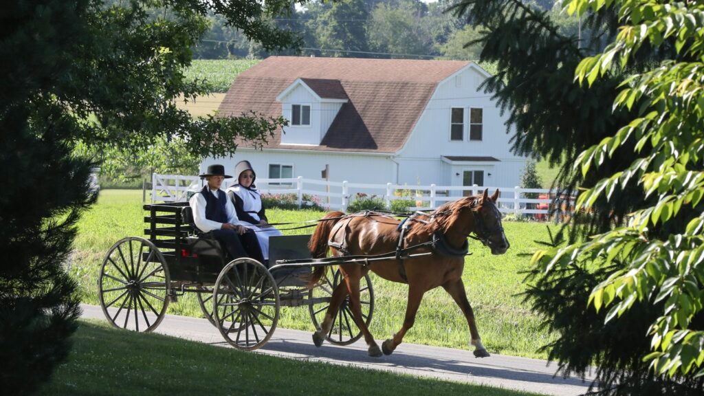man and woman riding horse carriage