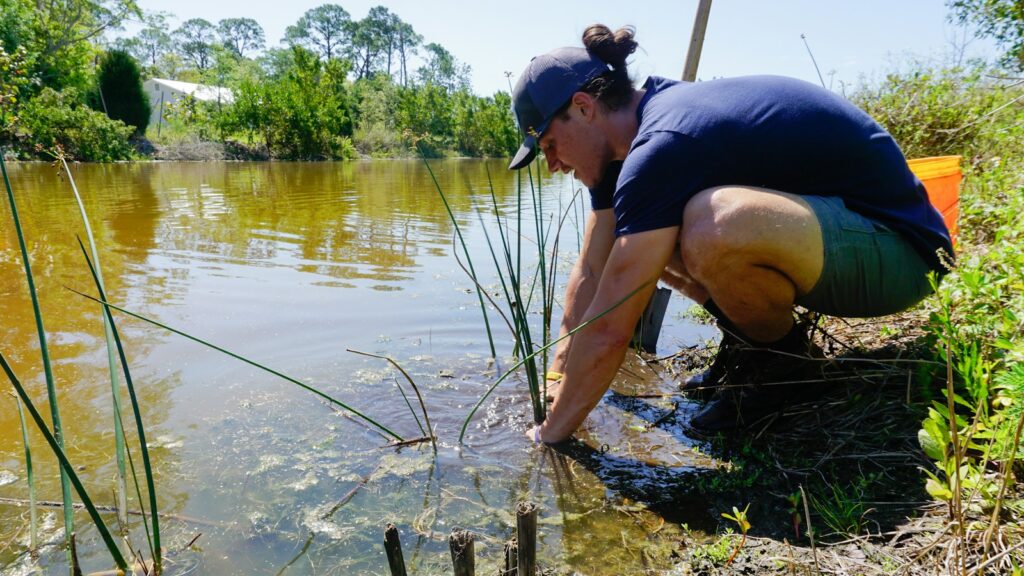a woman crouches down to collect water from a pond