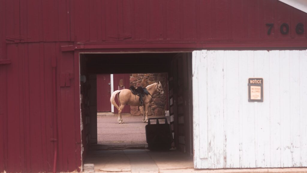 a barn with a horse inside of it