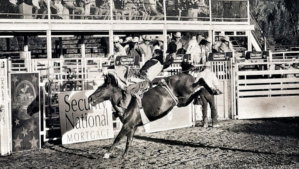 grayscale photo of rodeo show