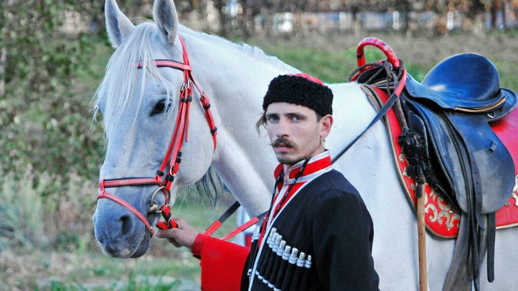 man in black jacket riding white horse during daytime