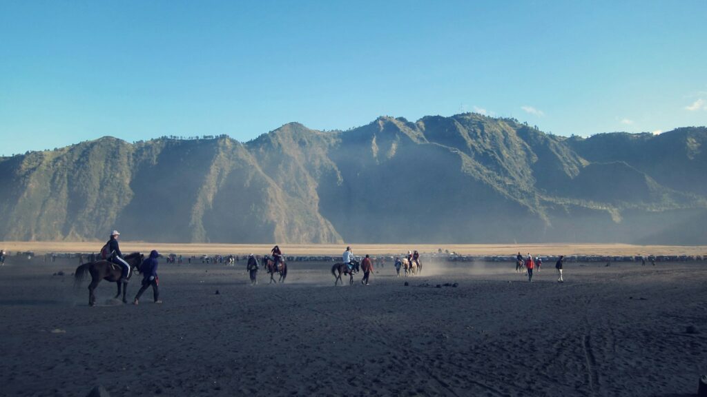 riding people on horses during daytime