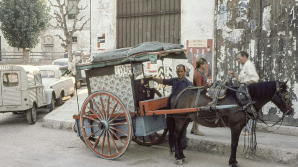 black coated horse with carriage 