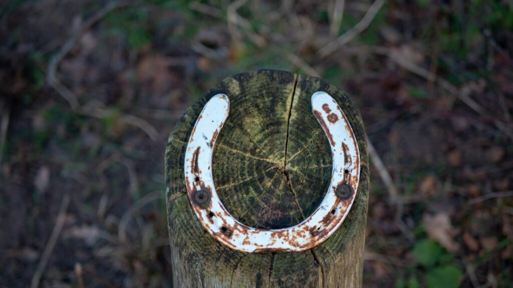 white horseshoe on wood log