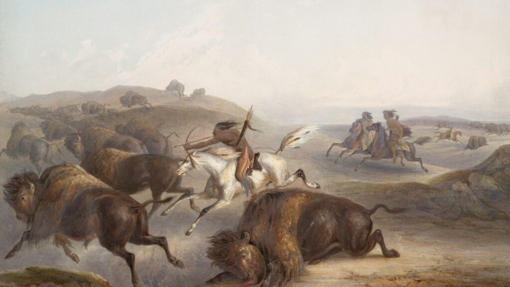 picture of horse in hunting
