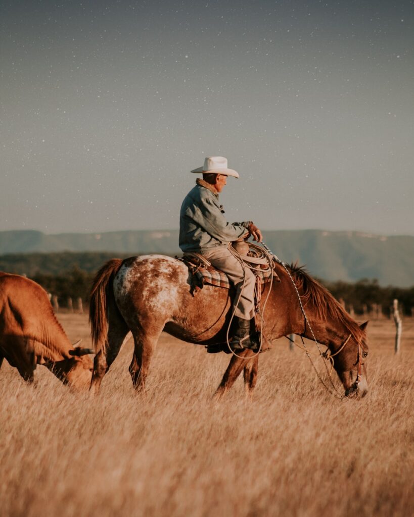 Man riding horse on brown grass field during daytime