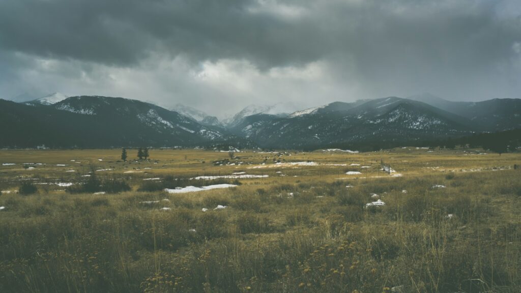 grass field near mountains