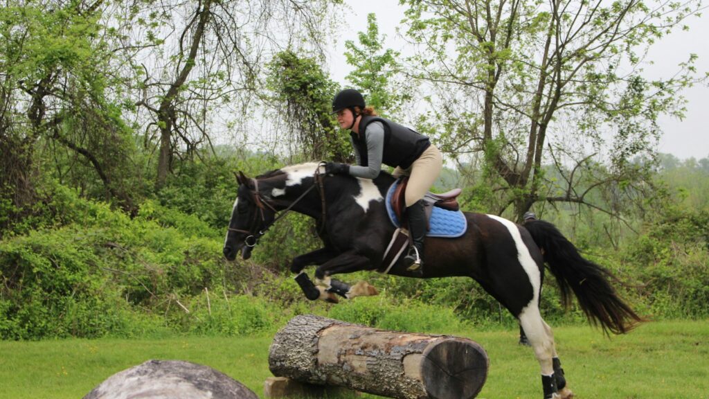 man riding black and white horse during daytime