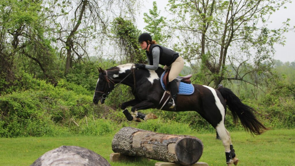 man riding black and white horse during daytime