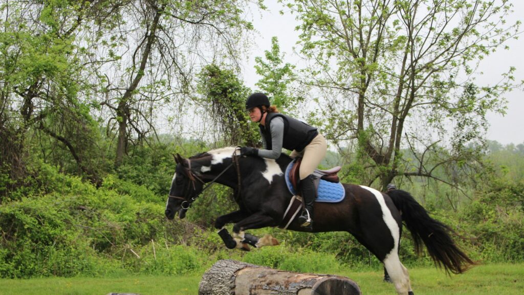 man riding black and white horse during daytime