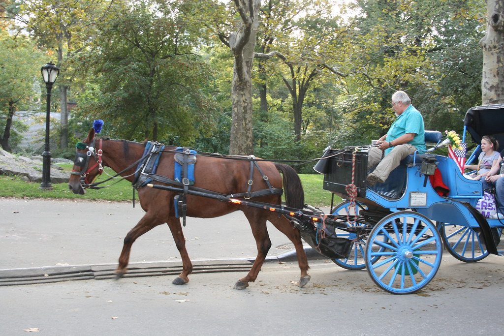 Central Park Carriage in New York