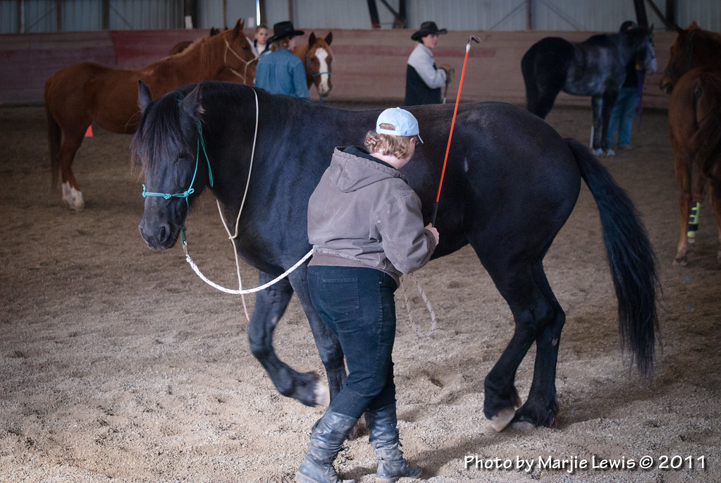 Horsemanship Clinic