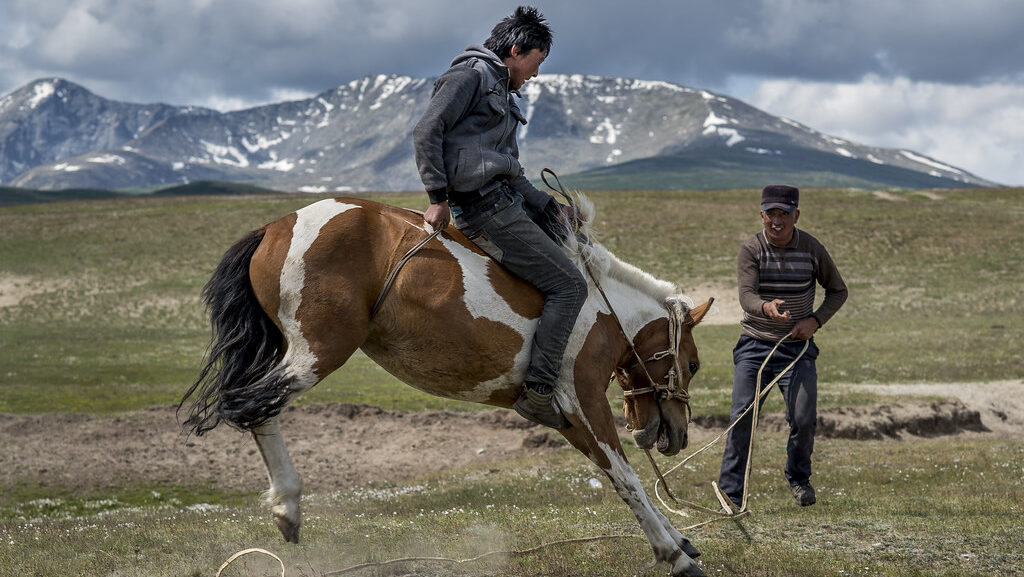 a man balanncing horse on mountains