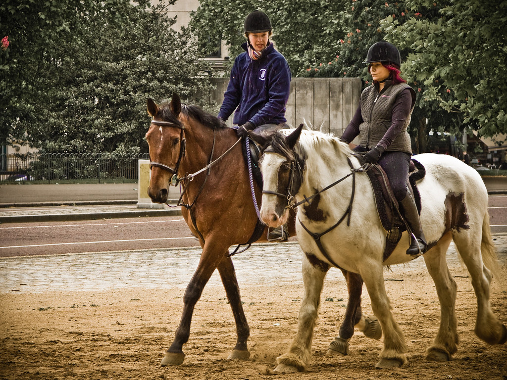 Horsemanship