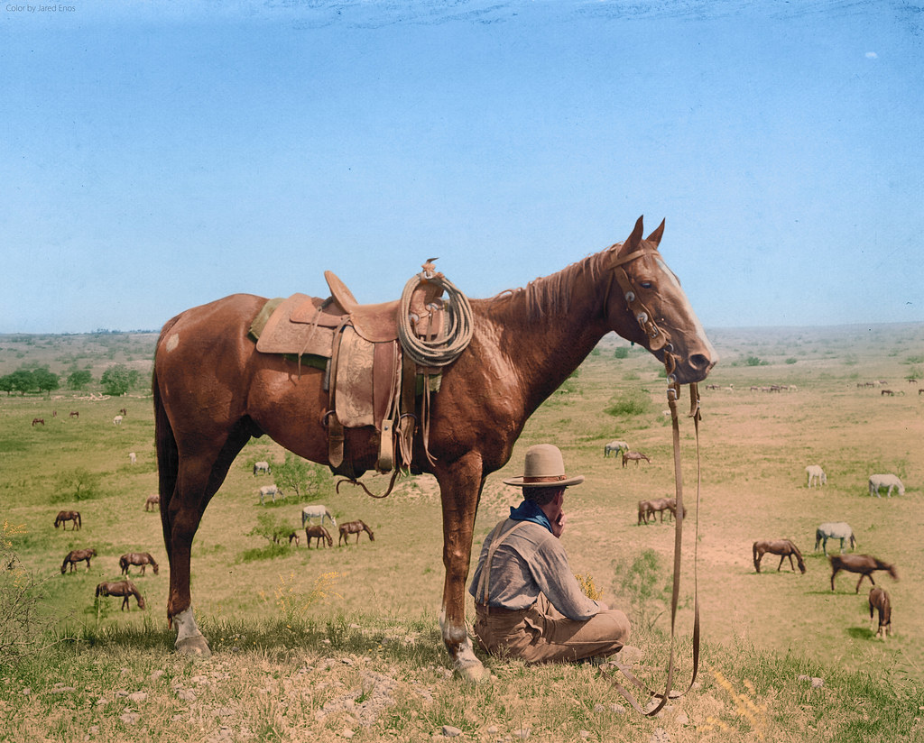 The Horse Wrangler back in 1910