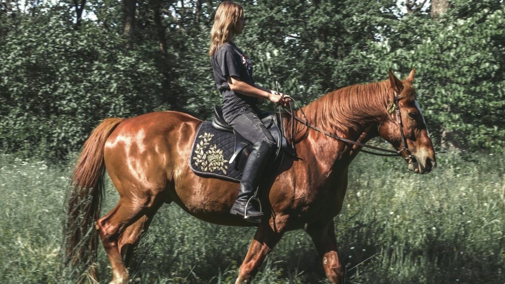 woman in black jacket riding brown horse during daytime