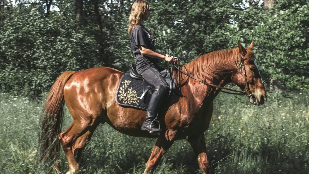woman in black jacket riding brown horse during daytime