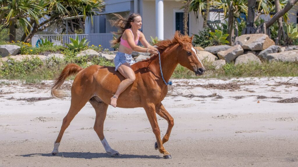 A girl riding a horse on the beach