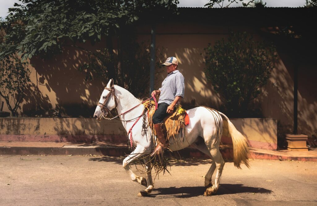 A man riding on the back of a white horse