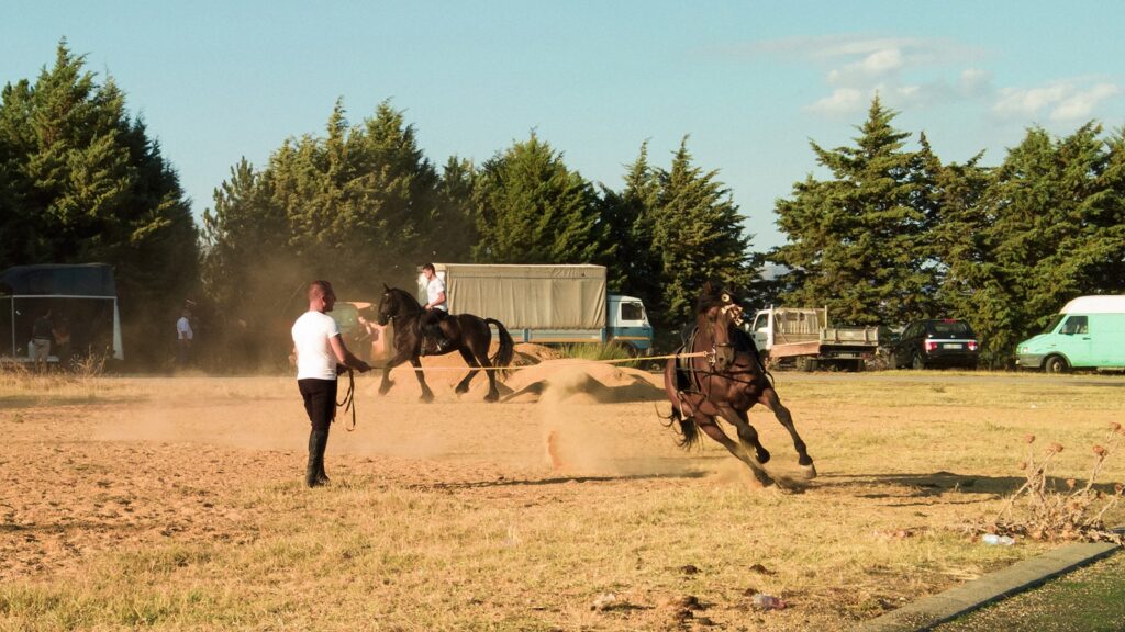A man leading a horse