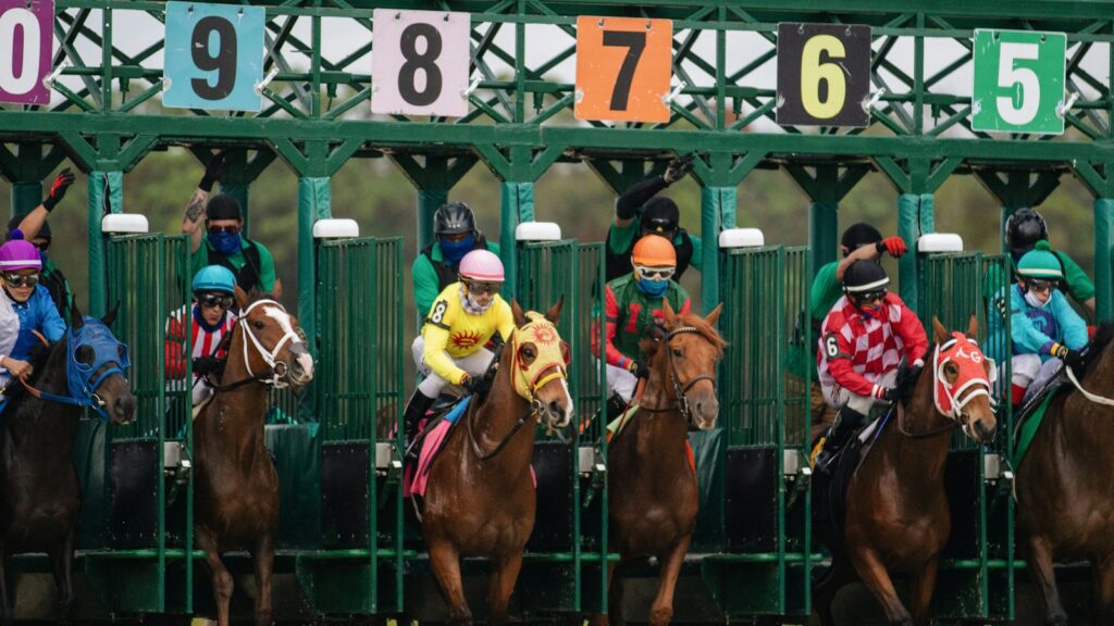 people riding horses during daytime