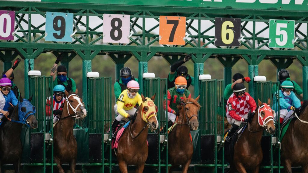 people riding horses during daytime