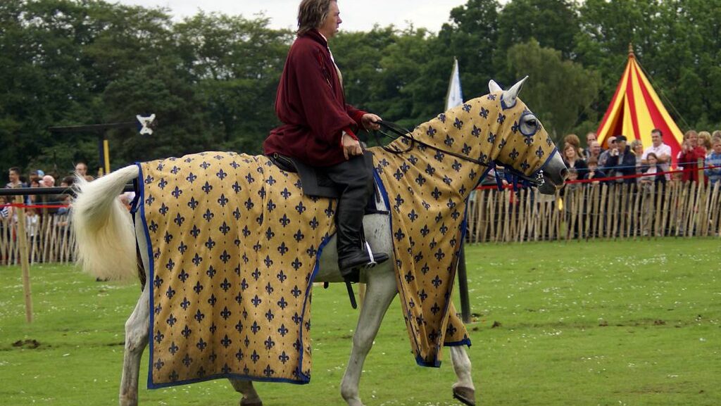 A man ride on horse in the green
