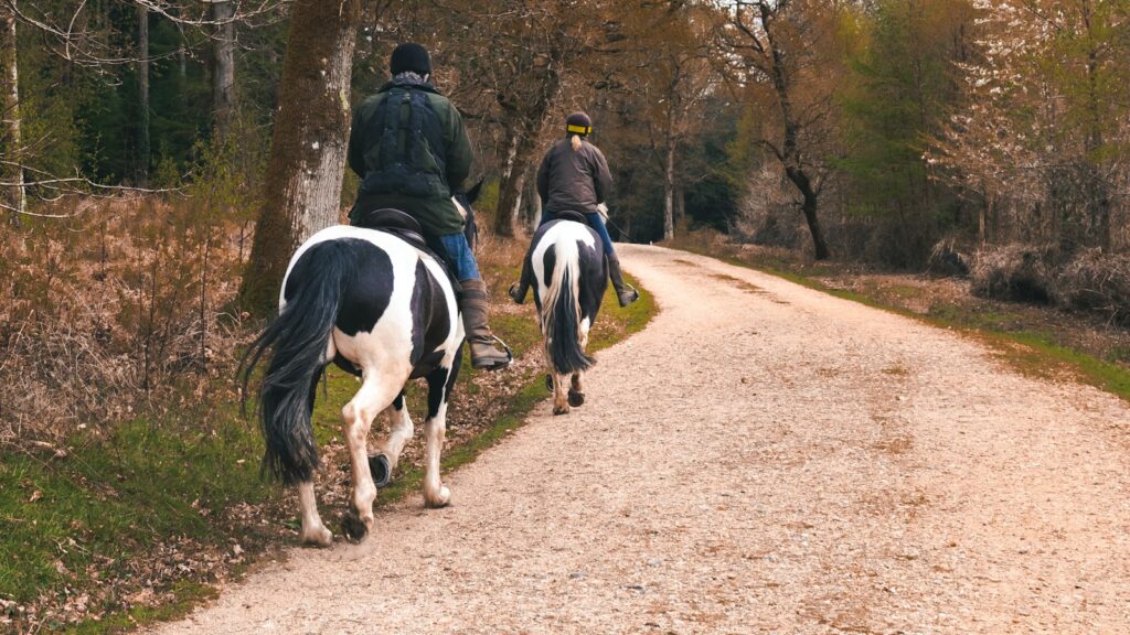 two people riding horses down a dirt road