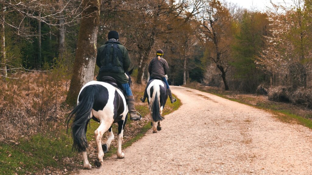 two people riding horses down a dirt road