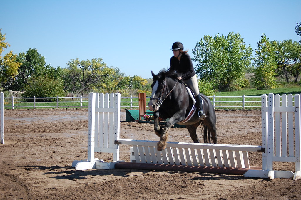 Horse Jumping Show