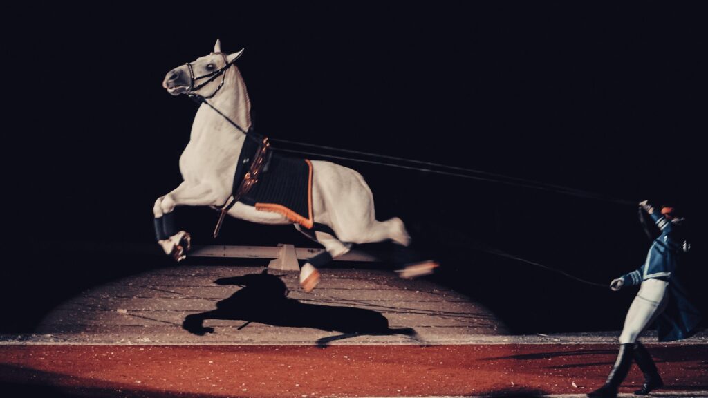 white horse on brown wooden floor